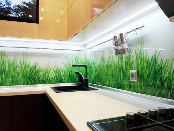 backsplash panel made of tempered glass with grass photo