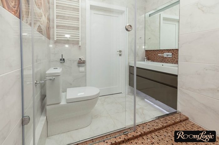 Bathroom interior with a shower enclosure and toilet