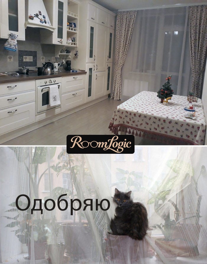cat and RoomLogic.org approve of sheer curtains in addition to kitchen curtains with a balcony