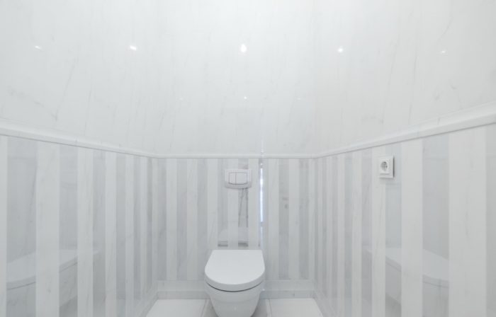 classical toilet design
