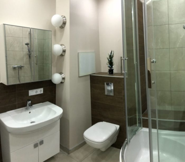 combined bathroom in a one-bedroom apartment