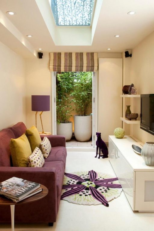 design of a narrow small living room