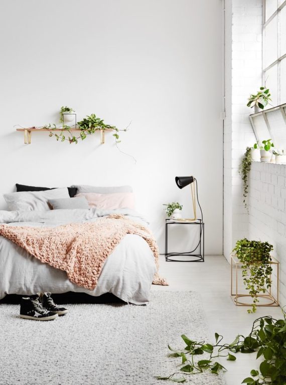eco-minimalism and plants