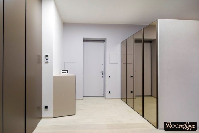 entryway in minimalist style