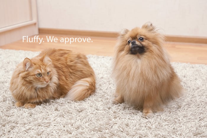 Apartment decorating idea