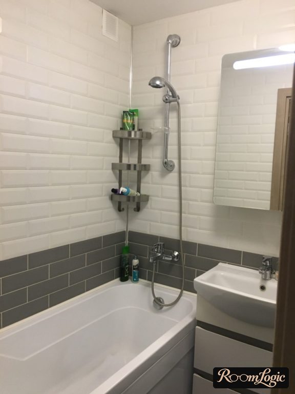 Horizontal division of a bathroom wall in a tiny apartment