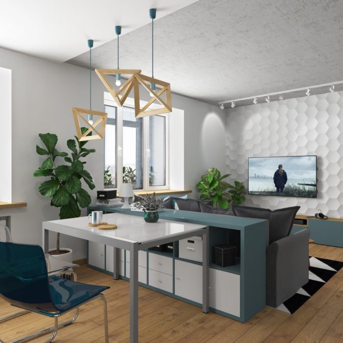 idea of zoning the studio apartment