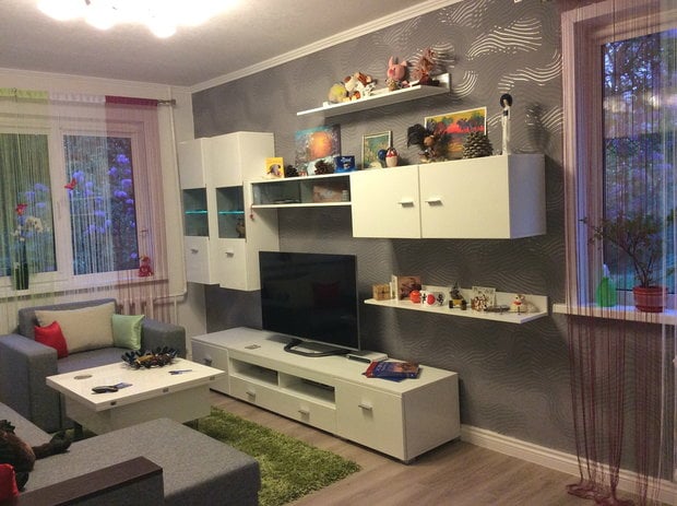 interior of a room in a one-bedroom apartment