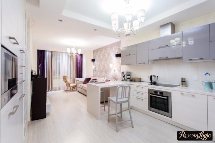 light gray kitchen-living room