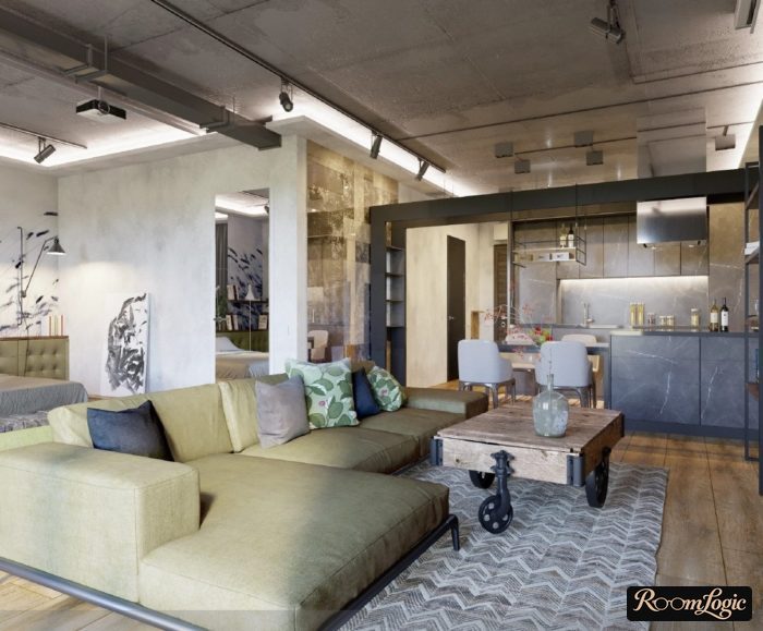 loft-style kitchen-living room with stylish accessories