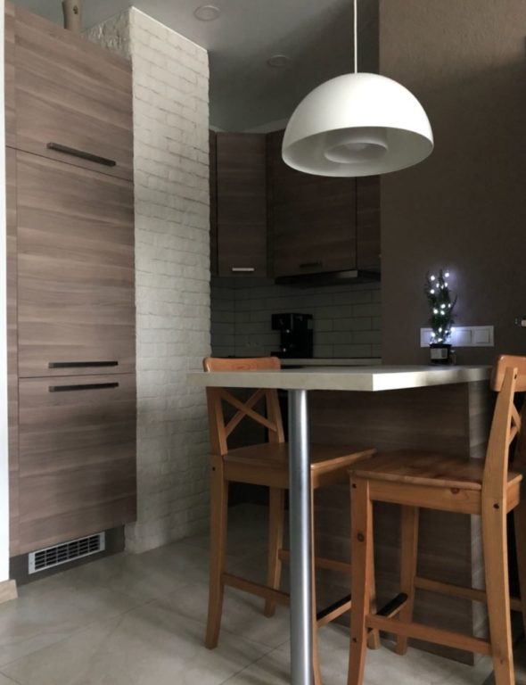 micro-kitchen in one-bedroom apartment
