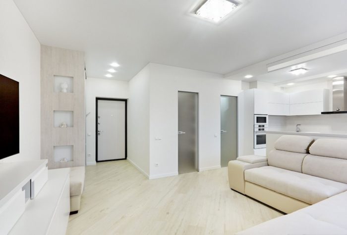 minimized kitchen combined with living room minimalism