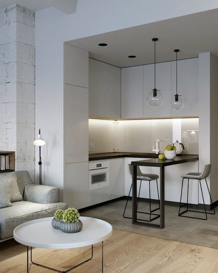 modern minimalism in the kitchen-living room