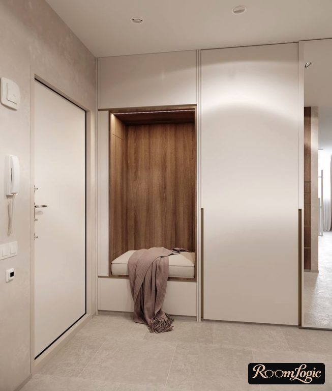 modern small entryway in minimalism style