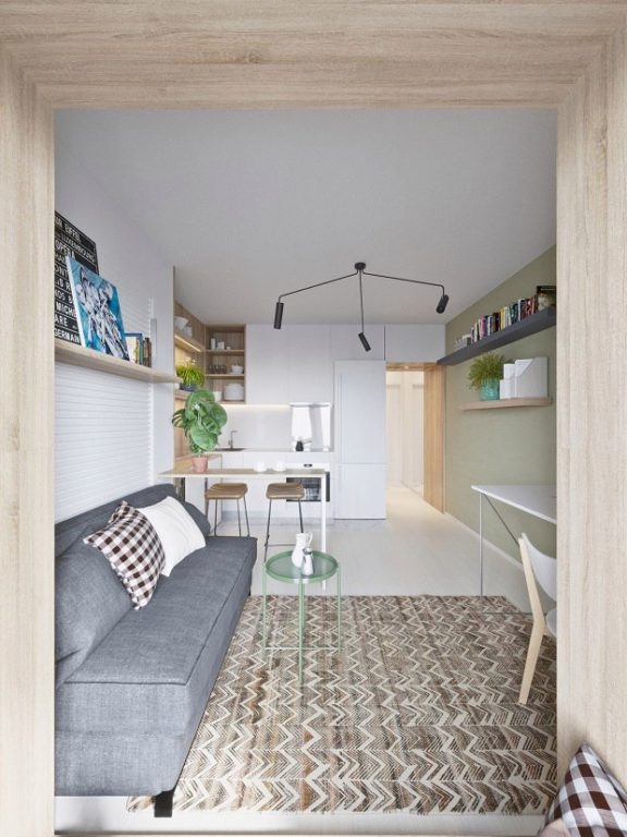 narrow elongated studio apartment(modern)