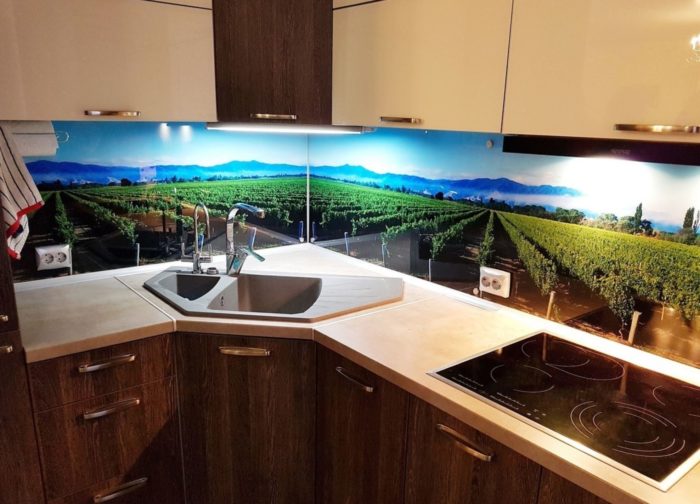 photo printed glass backsplash in the kitchen