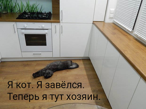 real photo of kitchen design in tiny apartment