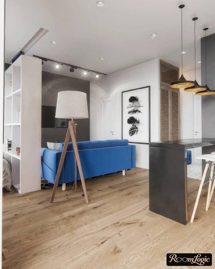 scandinavian-style studio apartment