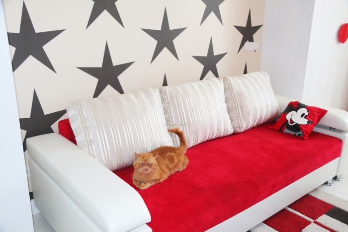 star print wallpaper in kids' room