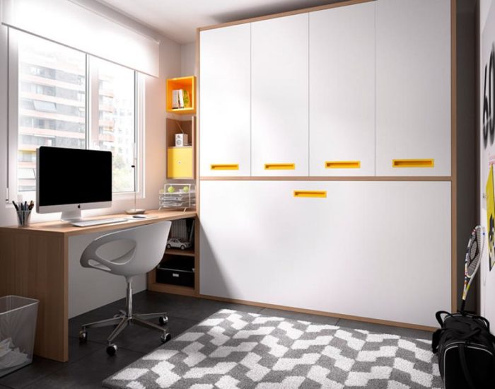 teenager's room with a Murphy bed