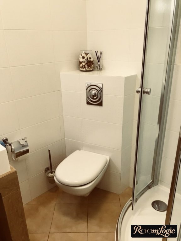 Tile accent around the bathroom fixtures