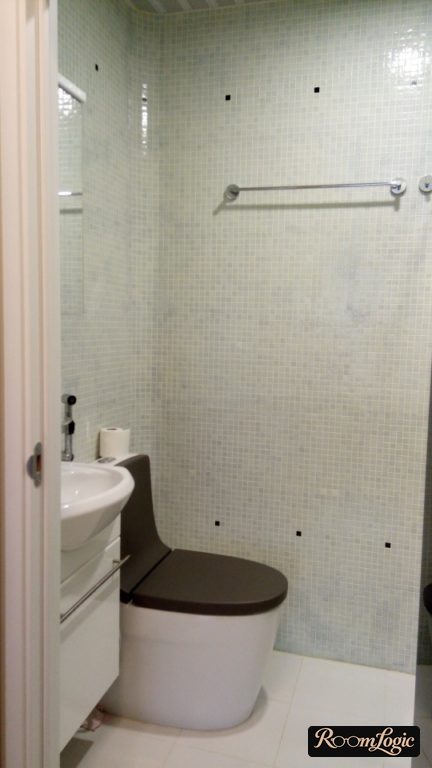 toilet design in a tiny apartment with mosaic