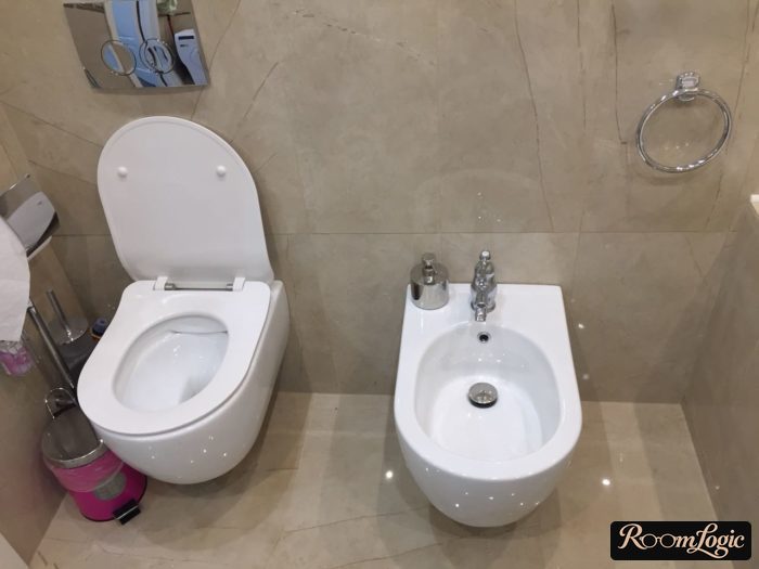 toilet with bidet