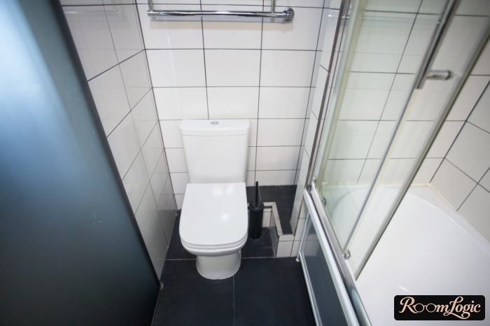 Two-in-one bathtub and shower enclosure