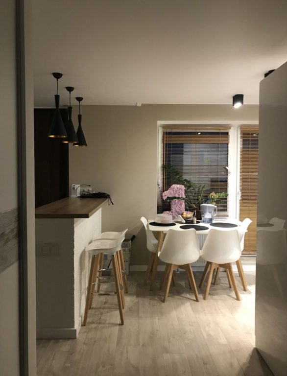 zoning of the studio into kitchen and living room